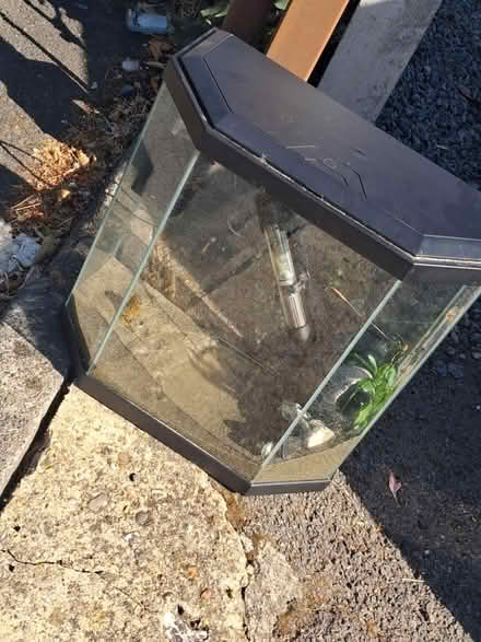Photo of free Fish tank (New addington CR0) #1