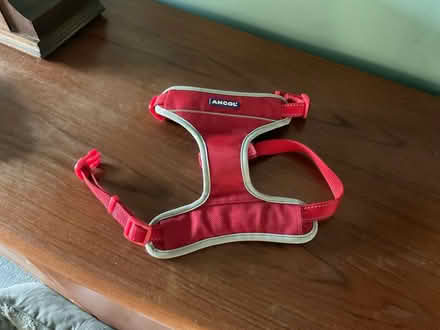 Photo of free Dog Harness (Melksham Without SN12) #2