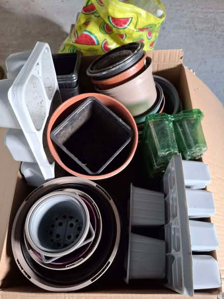 Photo of free Plantpots and trays (East Hartford NE23) #1