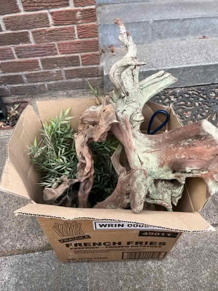 Photo of free Tropical fish equipment (Scale Hall, Lancaster LA1) #1
