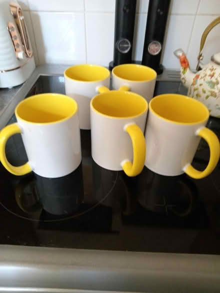 Photo of free Tea cups (Maidstone ME17) #1