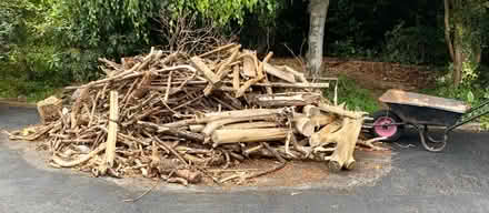 Photo of free Wood (Hipperholme HX3) #1