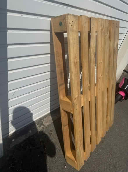 Photo of free Pallet (Kingswood Bristol BS15) #1