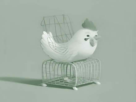Photo of Wire mesh rolls for chicken run (Stair KA5) #1