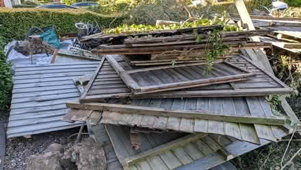 Photo of free Assorted used fence panels /posts (Boldmere, Sutton Coldfield) #2