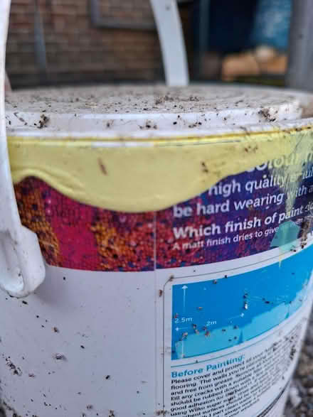Photo of free Pale yellow paint, Old Woking (Woking, GU22) #1