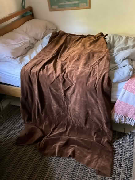 Photo of free Long velvet door curtain (Brockley SE4) #1