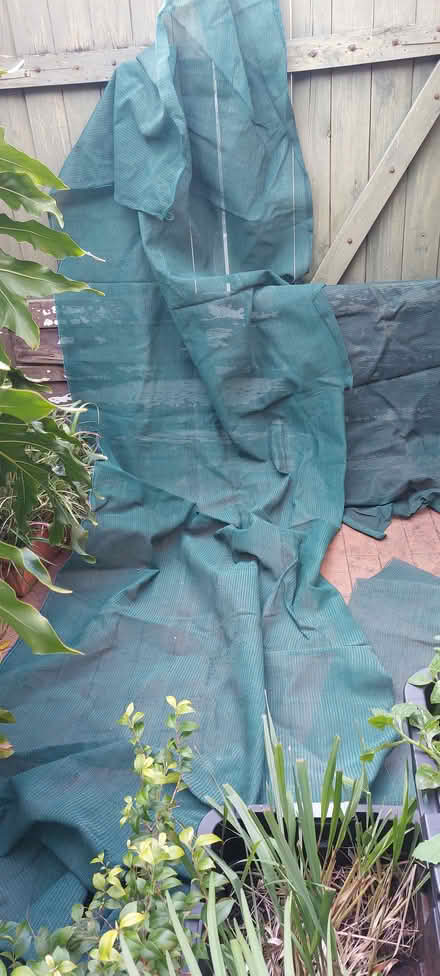 Photo of free Used Shade Cloth and Papaya (Camperdown 2050) #2