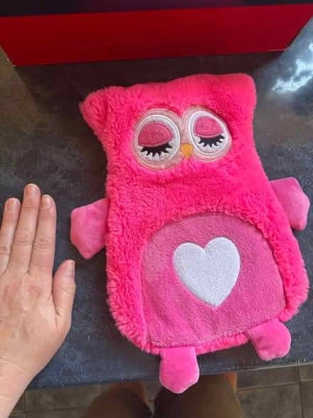 Photo of free Owl HOT-water bottle (Hemel Hempstead HP2) #1