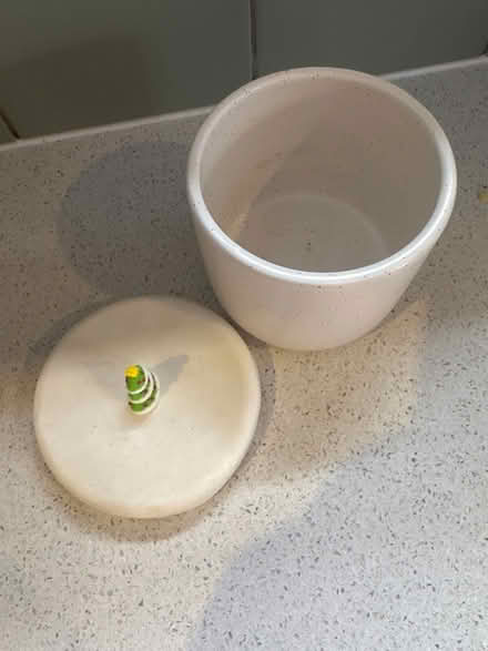 Photo of free Christmas pot (Coalpit Heath BS36) #2