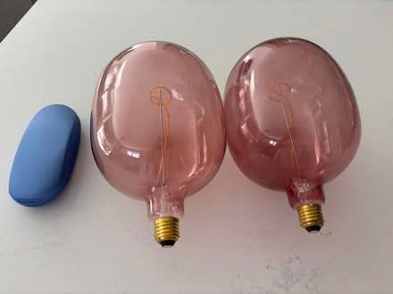 Photo of free Large decorative light bulbs (Priors Estate IP33) #2