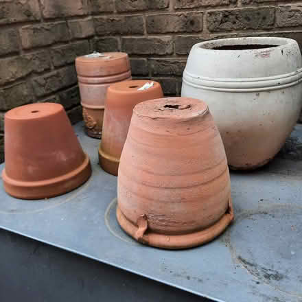 Photo of free Terracotta plant pots (Witton le Wear DL15) #1