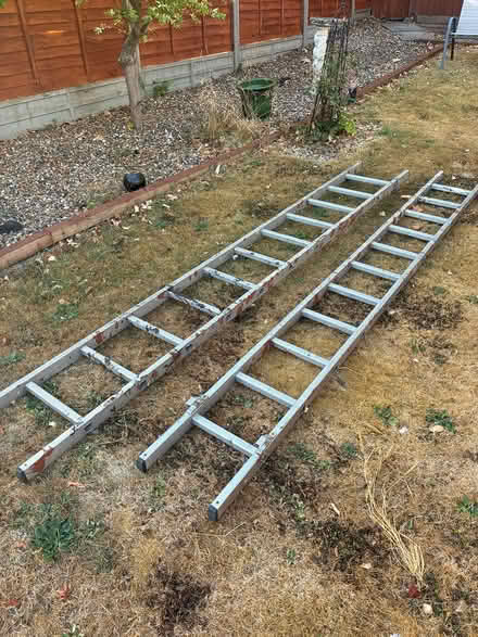 Photo of free Double ladder 3 metre (Orpington) #1