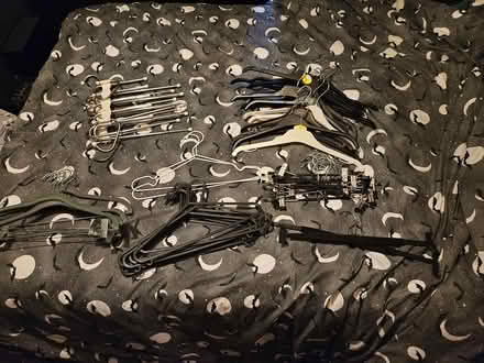 Photo of free Clothes Hangers (Edinburgh EH6) #3
