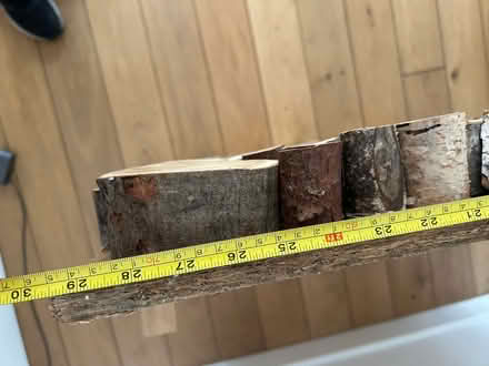 Photo of free Fireplace insert (Eltham SE9) #3
