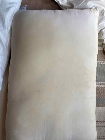 Photo of free Pillows - 1 firm neck pillow and 4 polyester pillows (Kendal LA9) #3