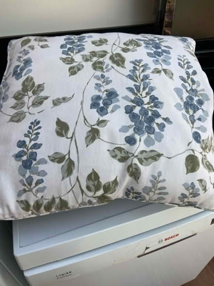 Photo of free 2 cushions (Loose, Maidstone ME15) #1