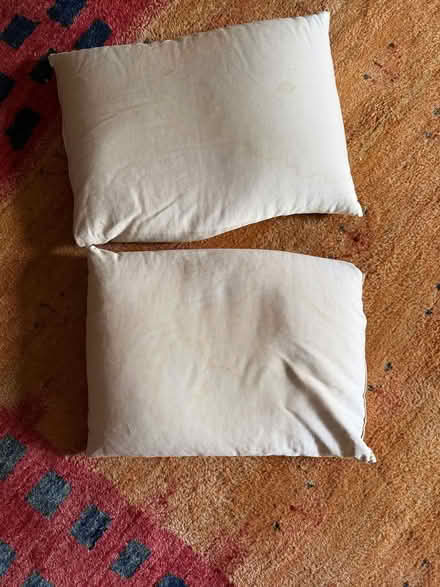 Photo of free 2 Buckwheat Hull pillows (Oakland near lake Merritt) #1