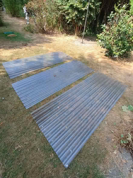 Photo of free Corrugated plastic sheets (Presteigne LD8) #1