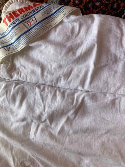 Photo of free Two single duvets. (Kendal LA9) #3