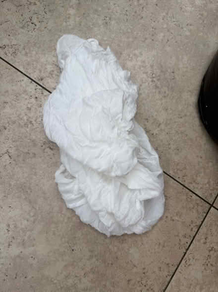 Photo of free Beanbag insert (net and balls) (Papplewick CP NG15) #2