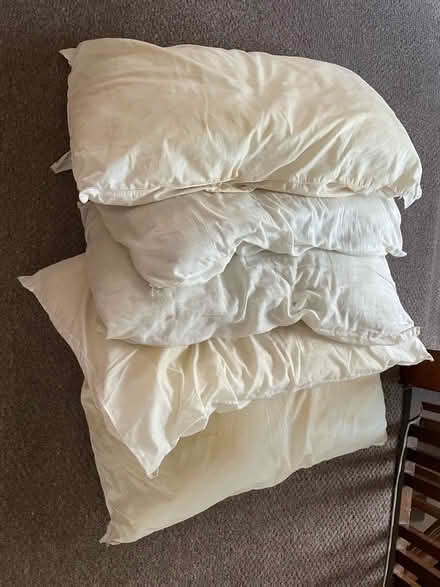 Photo of free Five pillows (Becketts Park LS6) #1