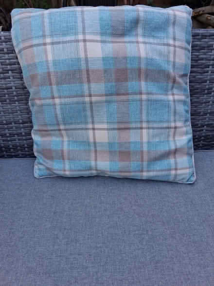 Photo of free Blue check cushion (Wildridings RG12) #2
