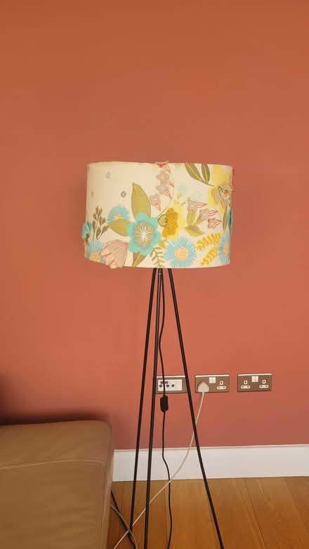 Photo of free Tripod floor lamp(Anthropologie) (Bow E3) #2