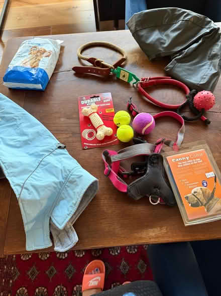 Photo of free Dog items - toys, lead, harness, collars, training pads (Old Road OX3) #3