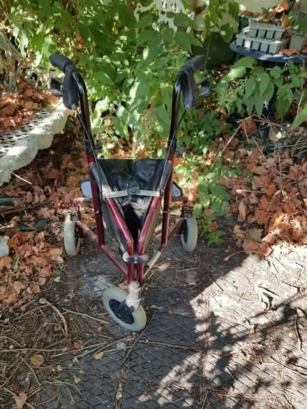 Photo of free Rollator (Berkhamsted HP4) #3