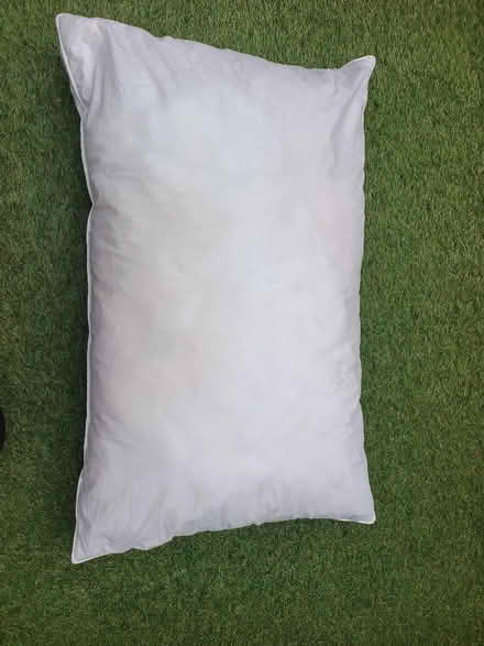 Photo of free Goose feather and down pillow (Bruntsfield EH10) #1