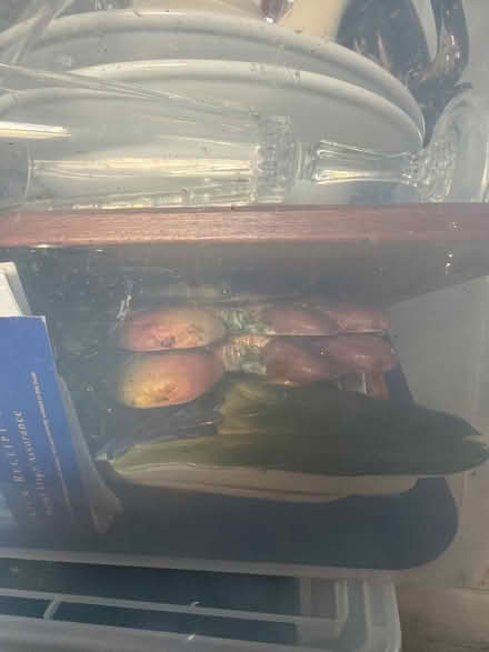 Photo of free Kitchen items, miscellaneous (SW18 4QZ) #2