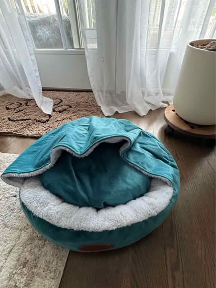 Photo of free Dog/Cat Bed (Wakefield) #2