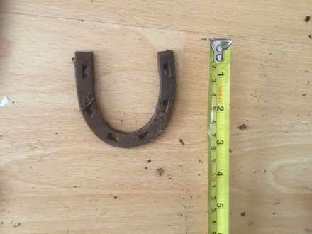 Photo of free Old small horseshoe (B62 near Blackheath) #1