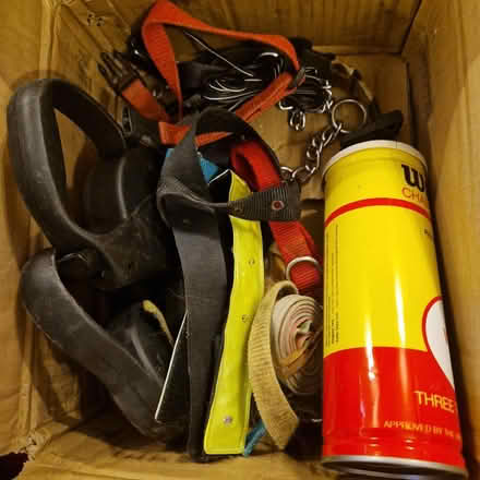 Photo of free Dog stuff-leads, chain, balls (Chobham GU24) #1