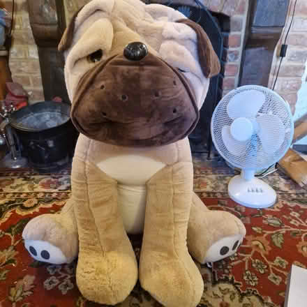 Photo of free Large soft toy, dog (Chobham GU24) #1