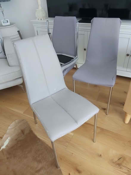 Photo of free Dining chairs (Felpham PO22) #1