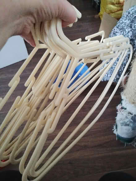 Photo of free Clothes Hangers (Bonnington road, EH6) #1