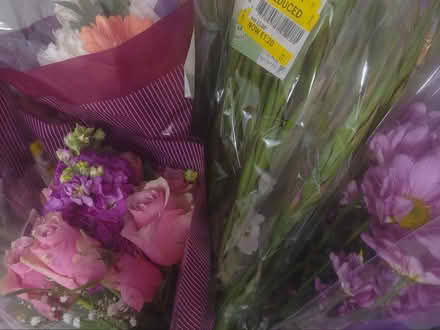 Photo of free Flowers (Loughton IG10) #1
