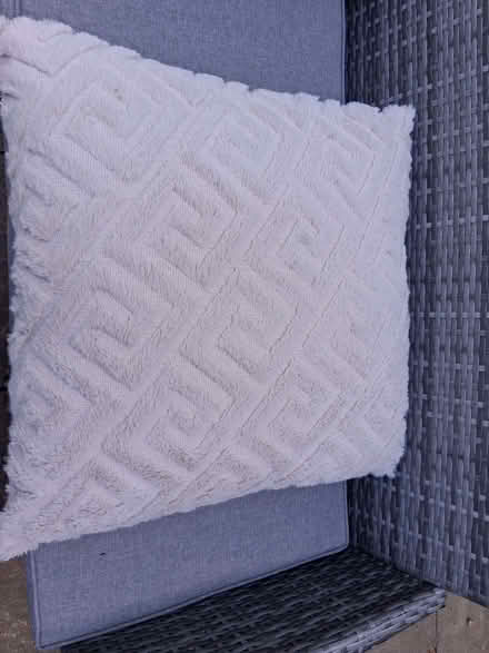 Photo of free Cream, fluffy patterned cushion (Wildridings RG12) #1