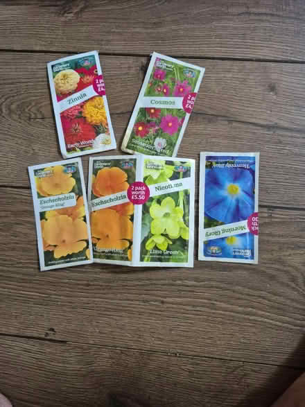 Photo of free Seeds (Horsham Town area RH13) #1