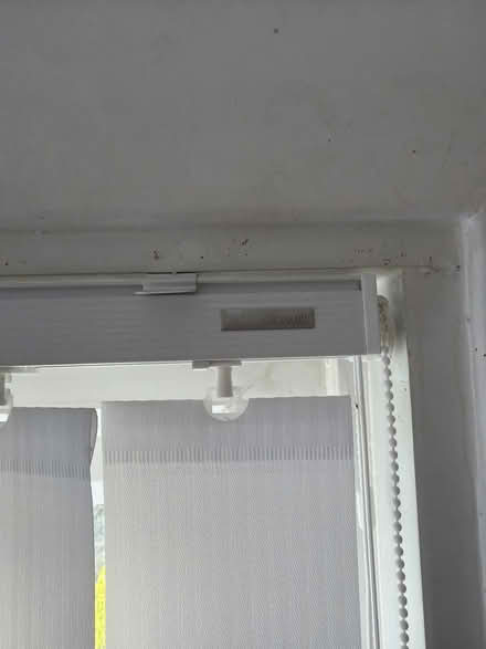 Photo of free Vertical blinds x 3 (SW18 4QZ) #2