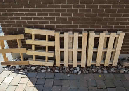 Photo of free Wood pallets (Ottawa) #1