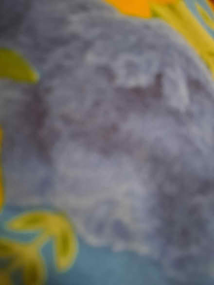 Photo of clothes near by (Philipburg nj) #1