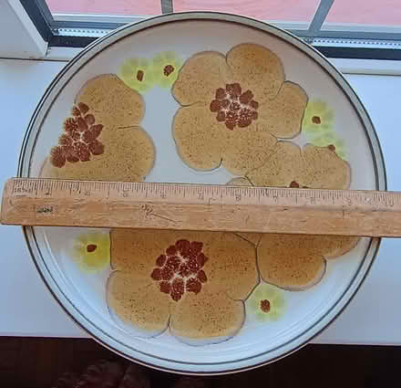 Photo of free Vintage Denby dinner plates (Thorpe Bay SS1) #2