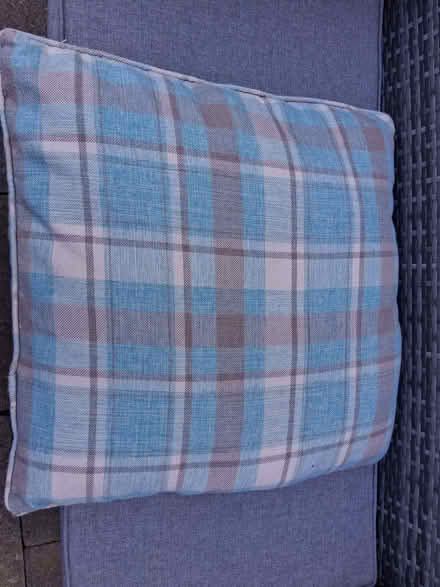 Photo of free Blue check cushion (Wildridings RG12) #1