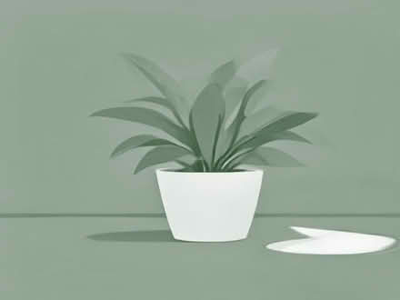 Photo of Indoor houseplant Cuttings or unwanted house plants (Benhilton SM1) #1