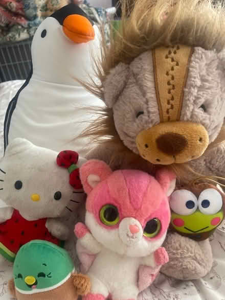 Photo of free Plushes (Blacklands TN34) #1
