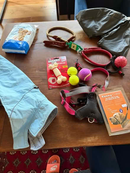 Photo of free Dog items - toys, lead, harness, collars, training pads (Old Road OX3) #2