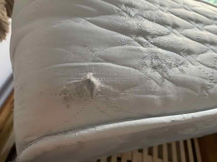 Photo of free Double Mattress (Gorgie EH11) #4